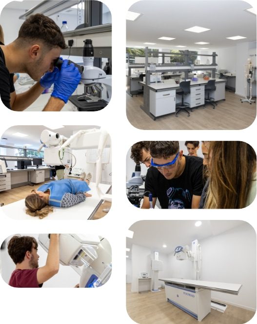 Ciclo superior en anatomia patologica y citodiagnostico campus mobile · ef Business School · Oleiros A Coruña