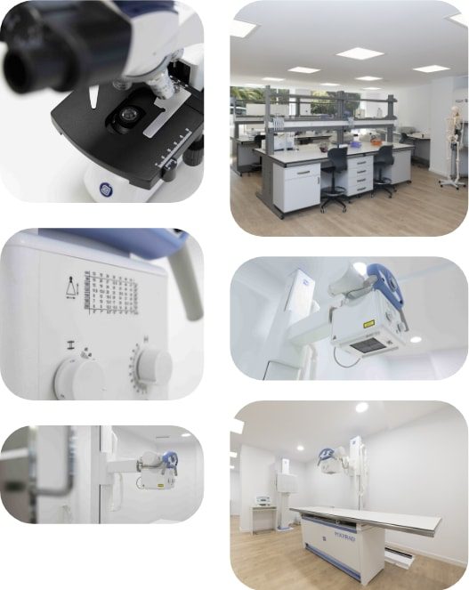 Ciclo superior en anatomia patologica y citodiagnostico campus mobile · ef Business School · Oleiros A Coruña