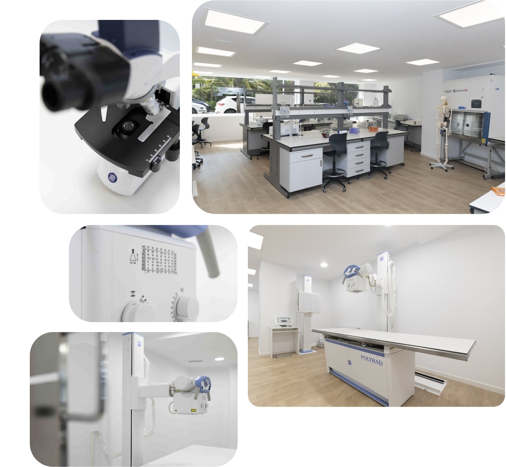 Ciclo superior en anatomia patologica y citodiagnostico campus · ef Business School · Oleiros A Coruña