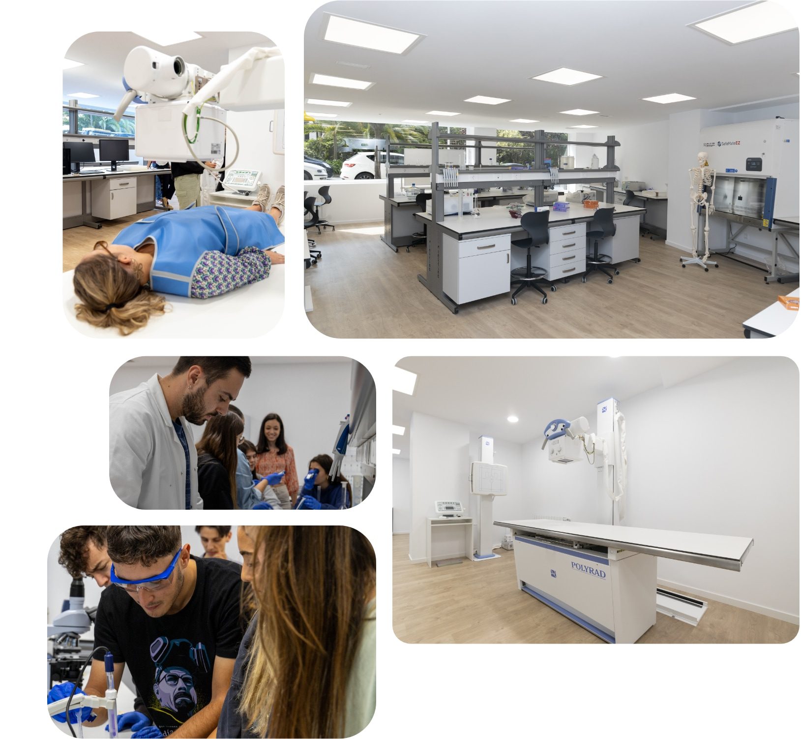 Ciclo superior en anatomia patologica y citodiagnostico campus · ef Business School · Oleiros A Coruña