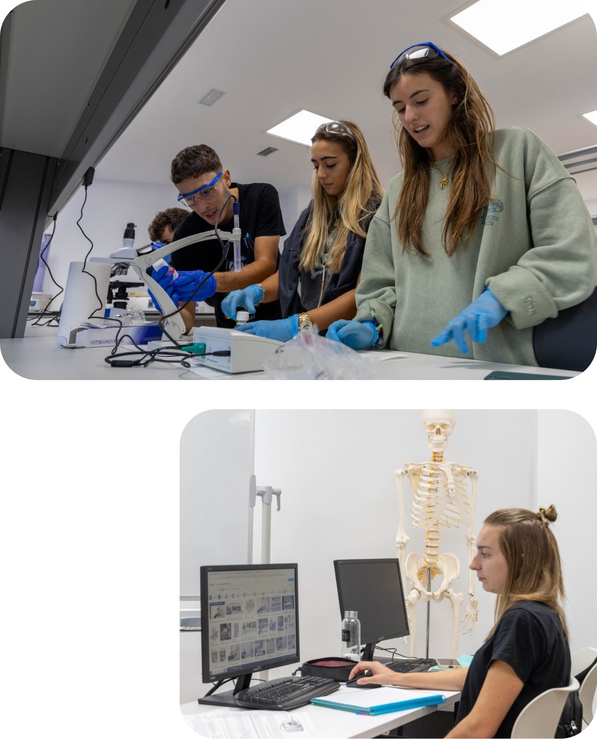 Ciclo superior en anatomia patologica y citodiagnostico info · FP Anatomía Patológica · A Coruña · ef Business School · Ga...