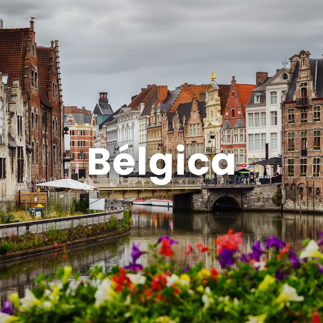 Belgica · FP Empresarial · A Coruña · ef Business School · Galicia