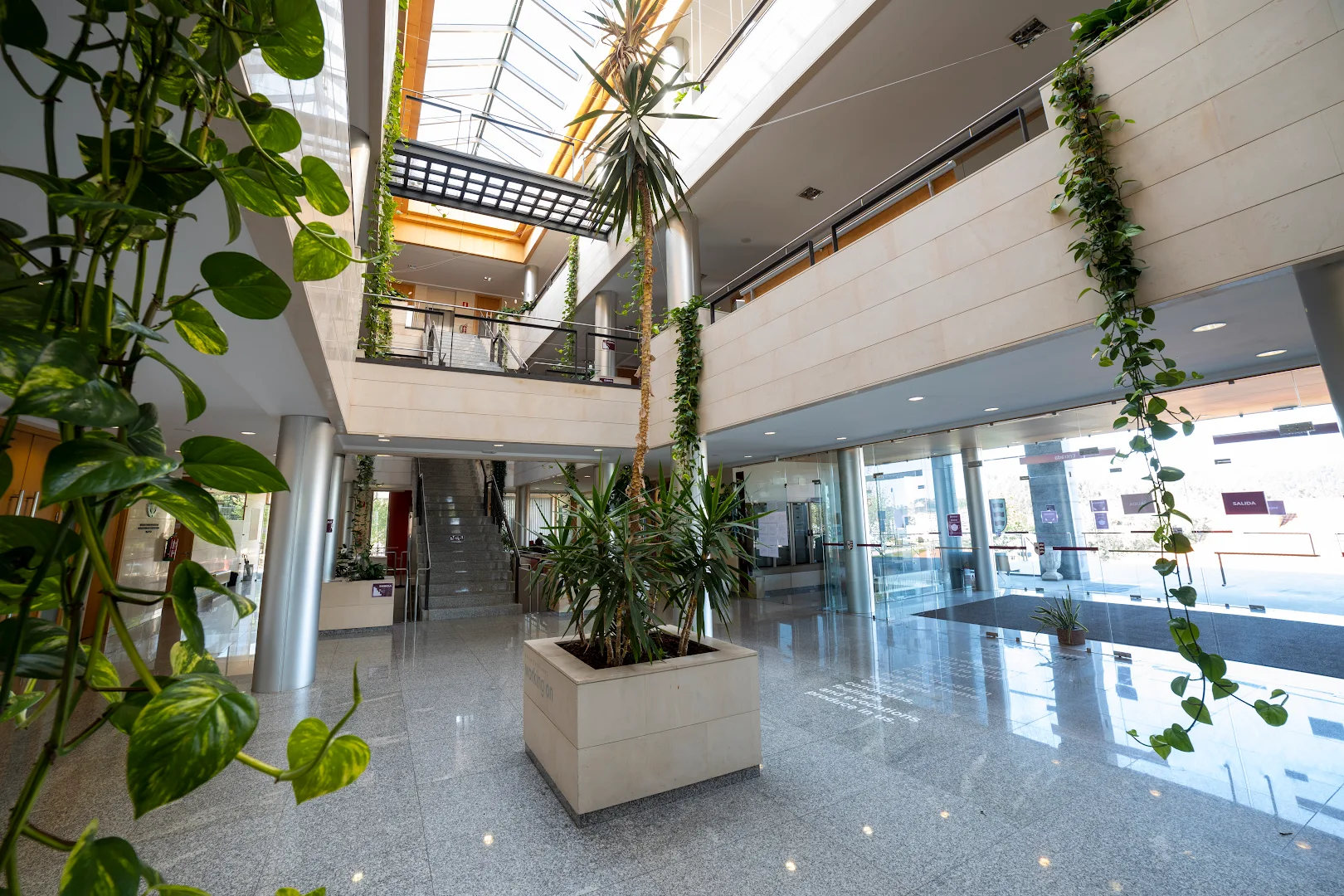 FP Grado Superior · A Coruña · ef Business School · Galicia