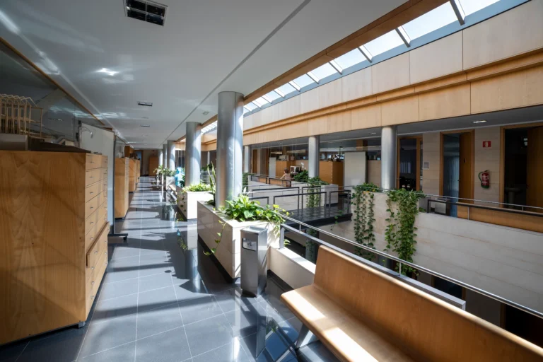 FP Grado Superior · A Coruña · ef Business School · Galicia