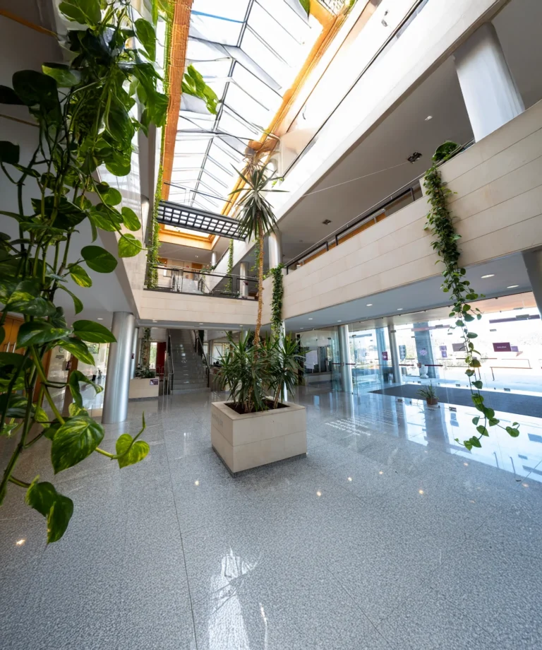 ef Business School · Oleiros A Coruña