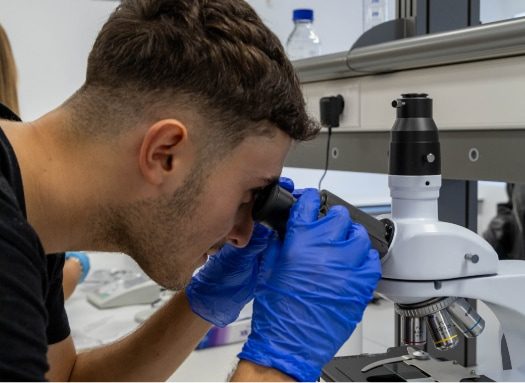 Ciclo superior en laboratorio clinico y biomedico cabecera movilb · FP Laboratorio Clínico Biomédico · A Coruña · ef Busin...