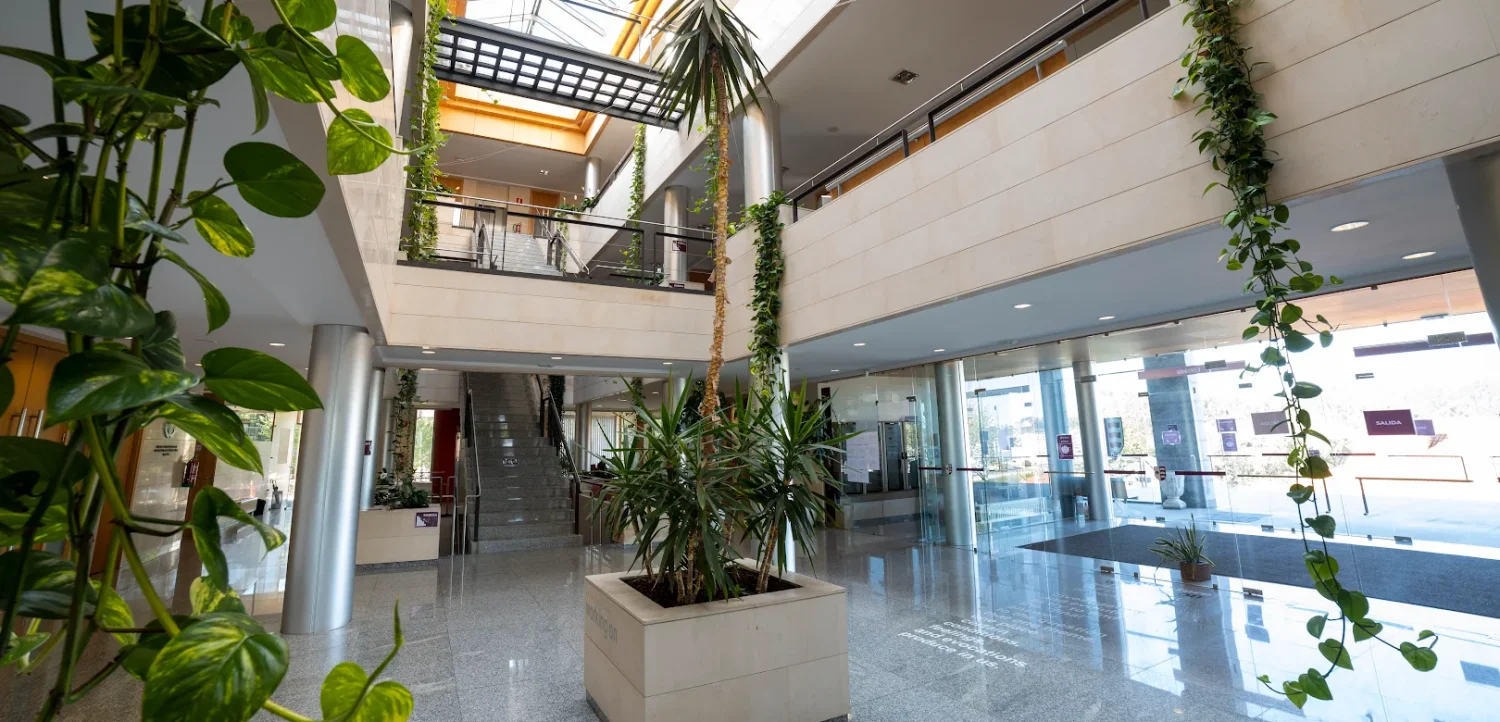 FP Grado Superior · A Coruña · ef Business School · Galicia