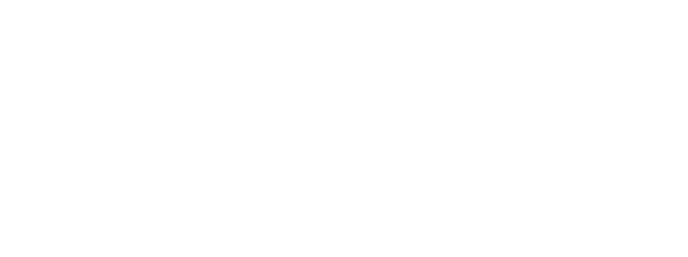 logo-domus